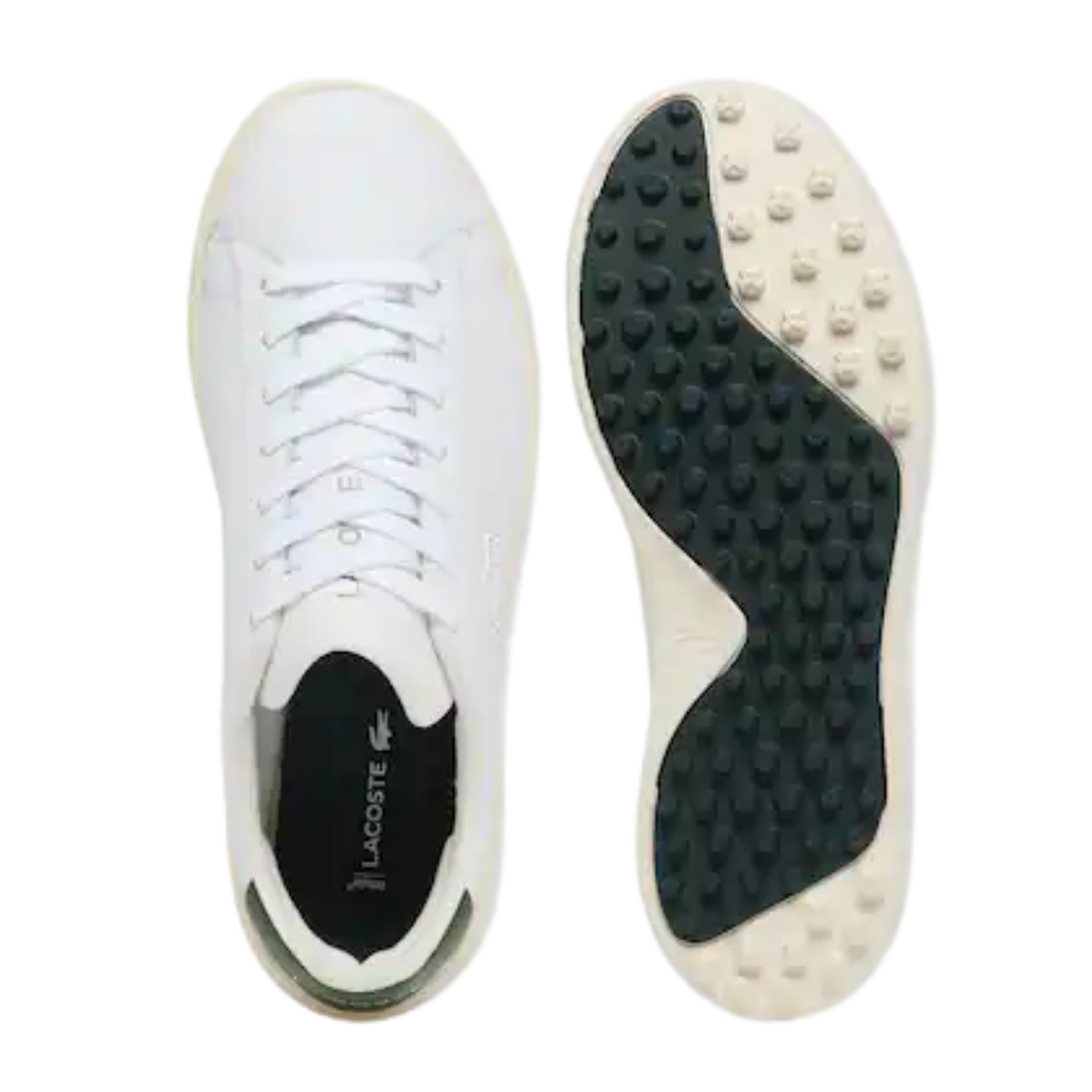 CHAUSSURES DE GOLF HOMME LACOSTE CARNABY