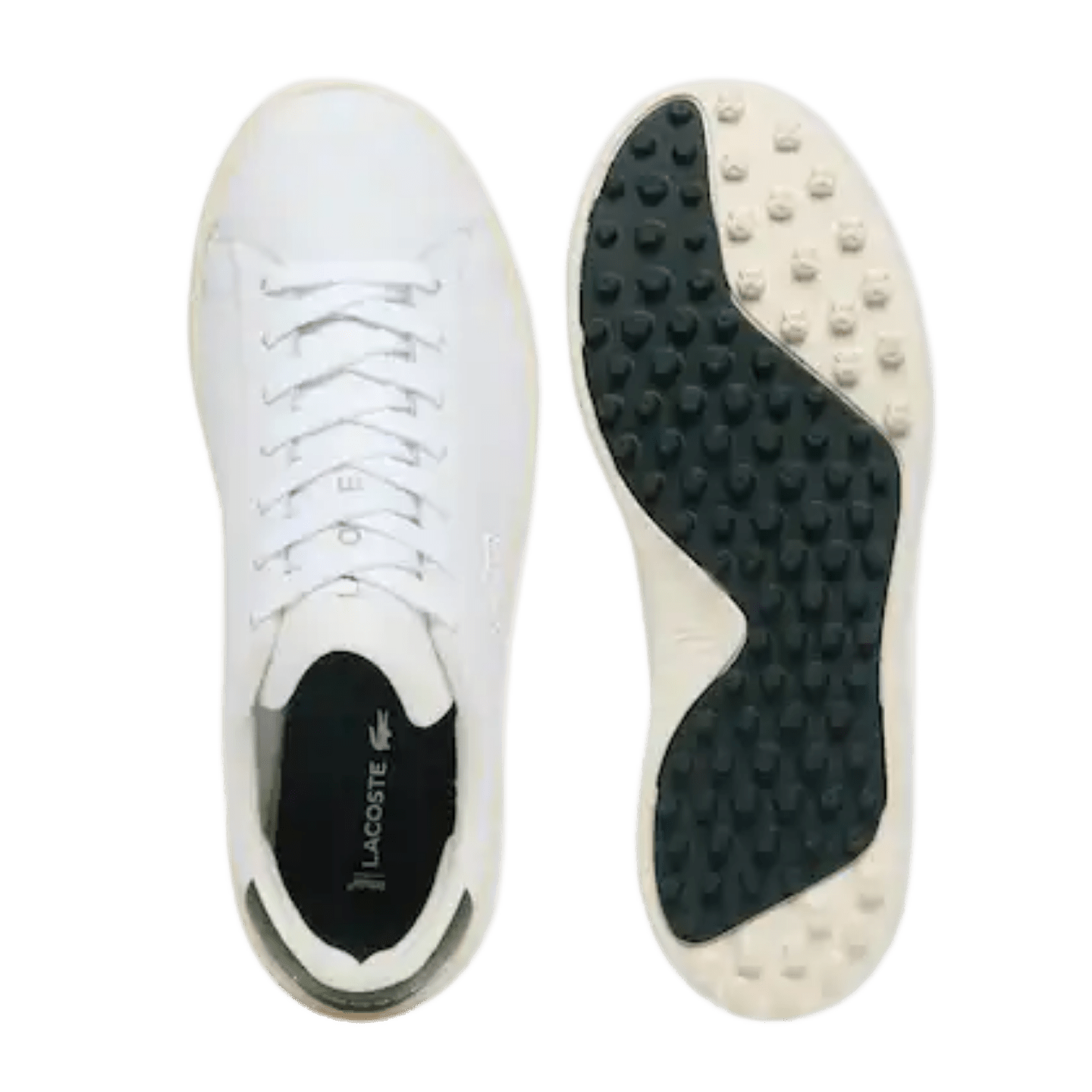 CHAUSSURES DE GOLF HOMME LACOSTE CARNABY - Lacoste - Golf Passion