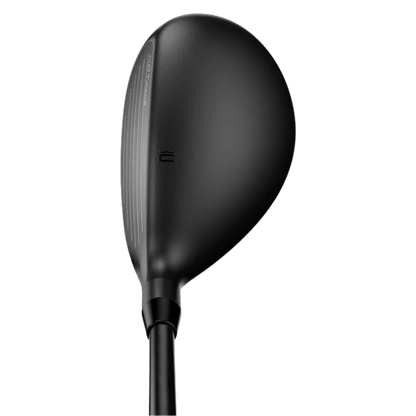 HYBRIDE COBRA - DARKSPEED BLACK